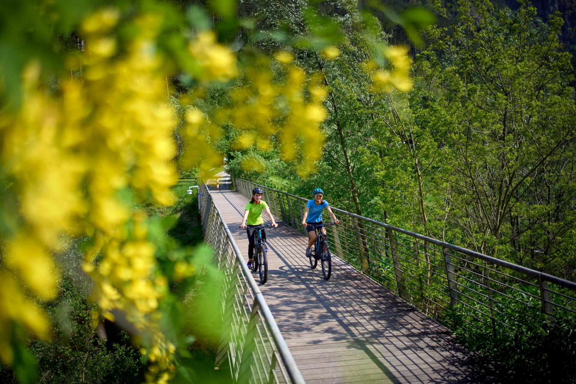 La ciclovia dei fiori — Green Hotel Genzianella