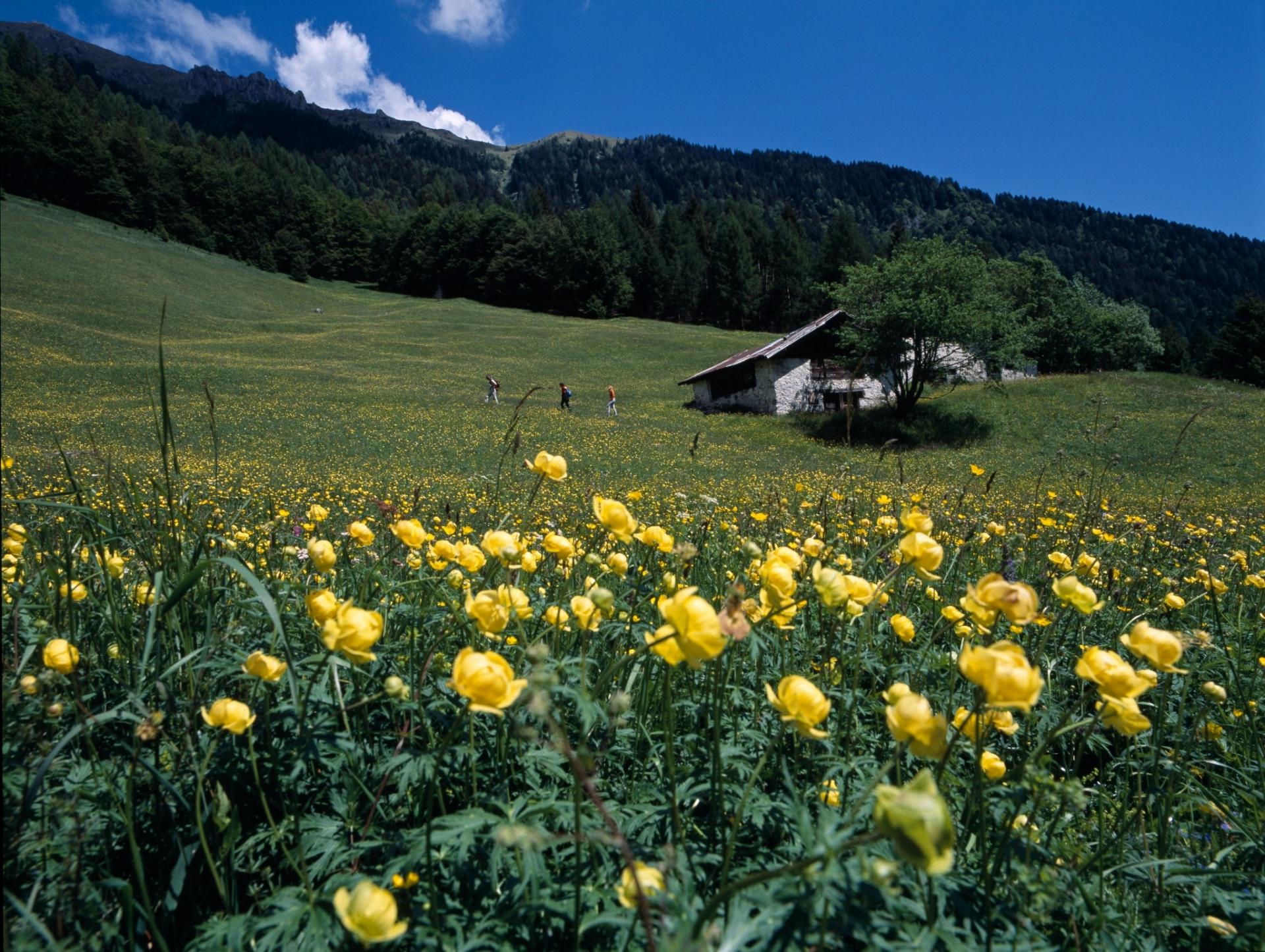 Valle del Chiese — Parco Naturale Adamello Brenta
