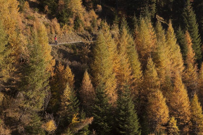 Trekking Valle del Chiese alpine huts