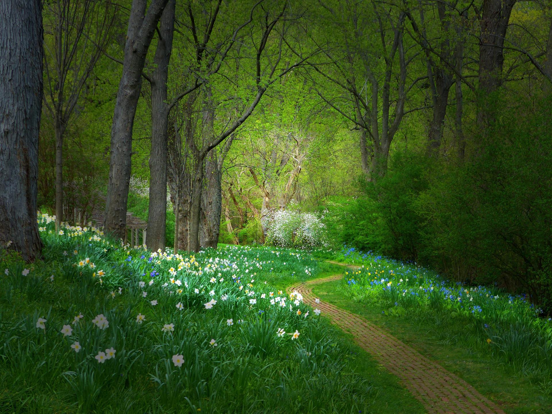 Piccoli Riti di Primavera — Green Hotel Genzianella